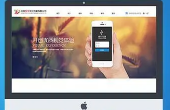 打造创新教育体验：教育培训91视频电影网的关键步骤